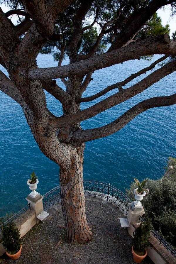 La Cervara Bed and Breakfast Σάντα Μαργκερίτα Λιγκούρε Εξωτερικό φωτογραφία