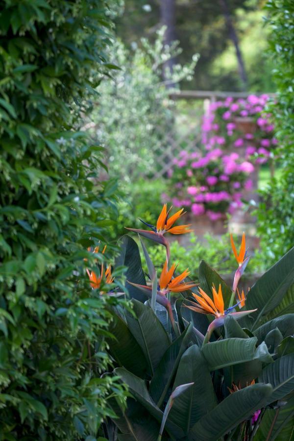 La Cervara Bed and Breakfast Σάντα Μαργκερίτα Λιγκούρε Εξωτερικό φωτογραφία
